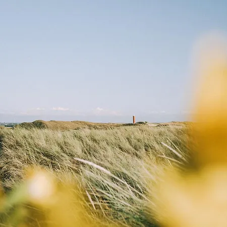 Heideblick - Car Free Park De Garnekuul Aan Zee *