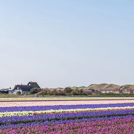 Heideblick - Car Free Park De Garnekuul Aan Zee * Callantsoog